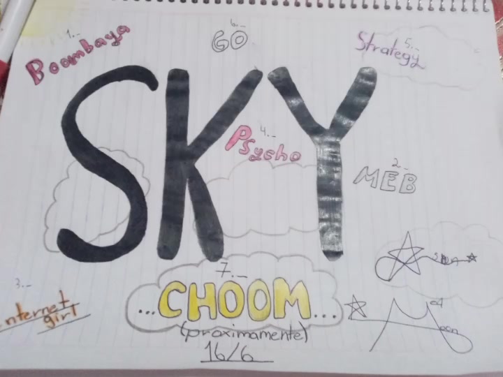 @sky covers