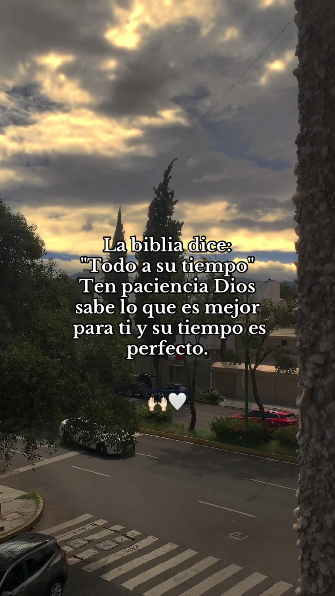 @☘️CRECIENDO @Lãjëfã☘️