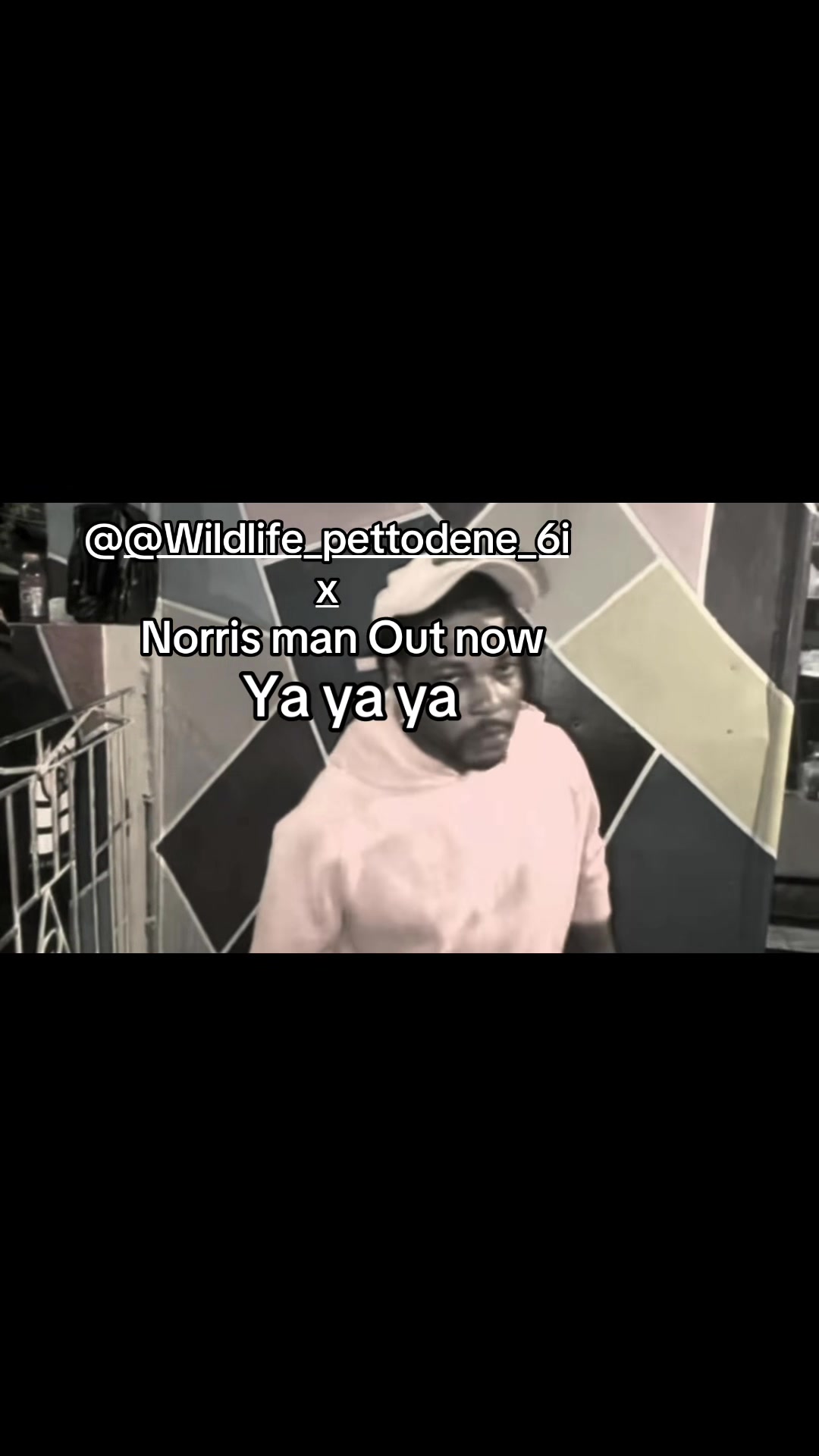 @BADBUSH ENTERTAINMENT