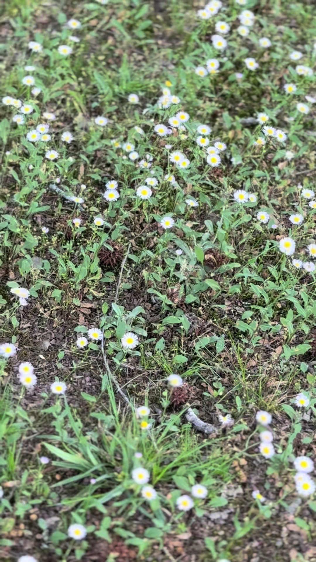 @𝒜𝓈𝒽𝓁ℯ𝓎 ᥫ᭡