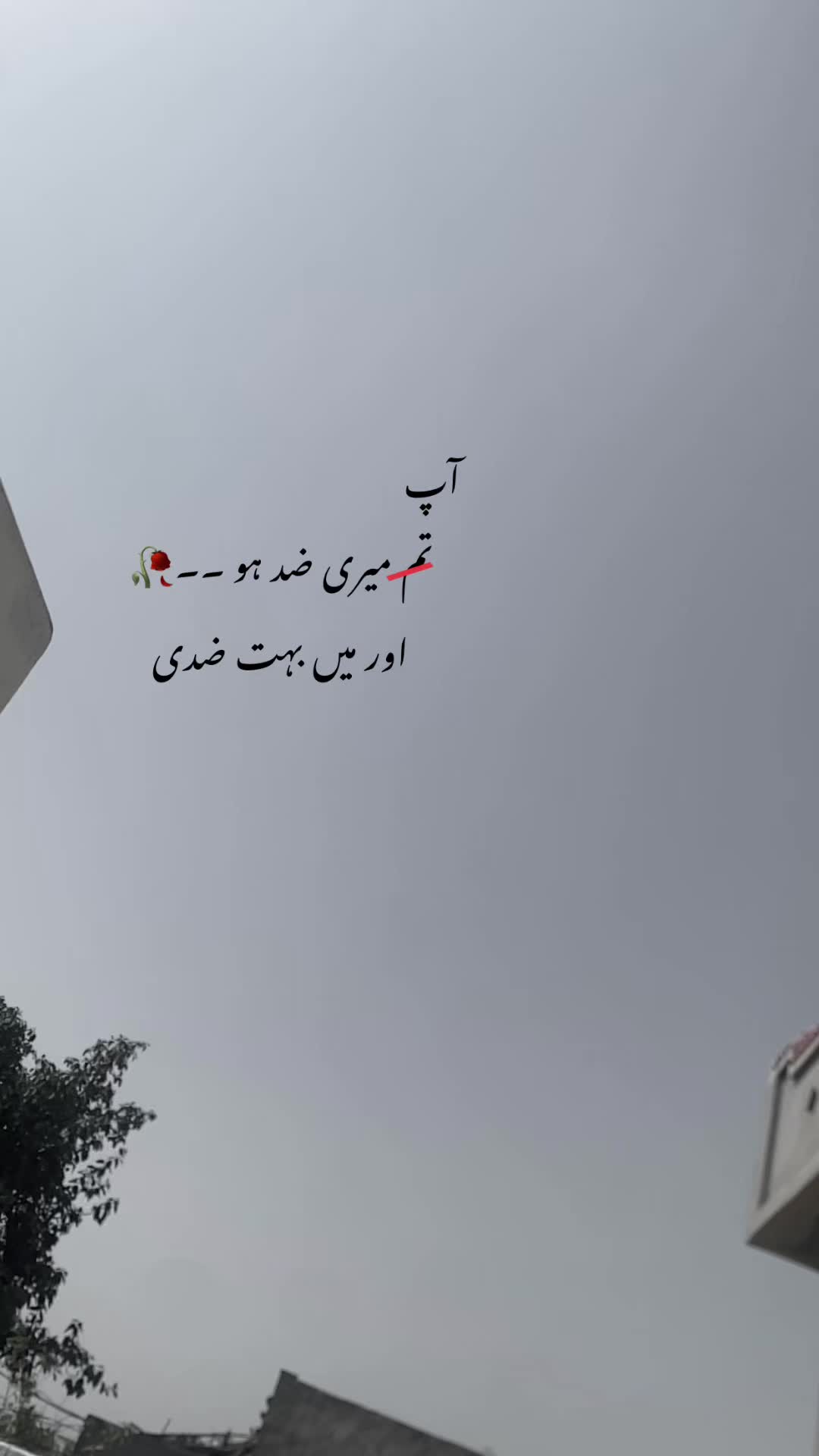 @ℍ𝕒𝕤𝕟𝕒𝕚𝕟_𝕨𝕣𝕚𝕥𝕖𝕤❤🩹