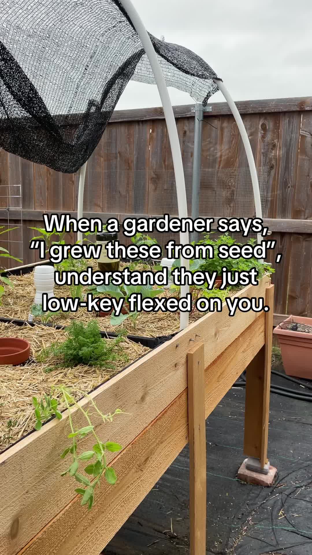 @❌ BoricuaInTheGarden