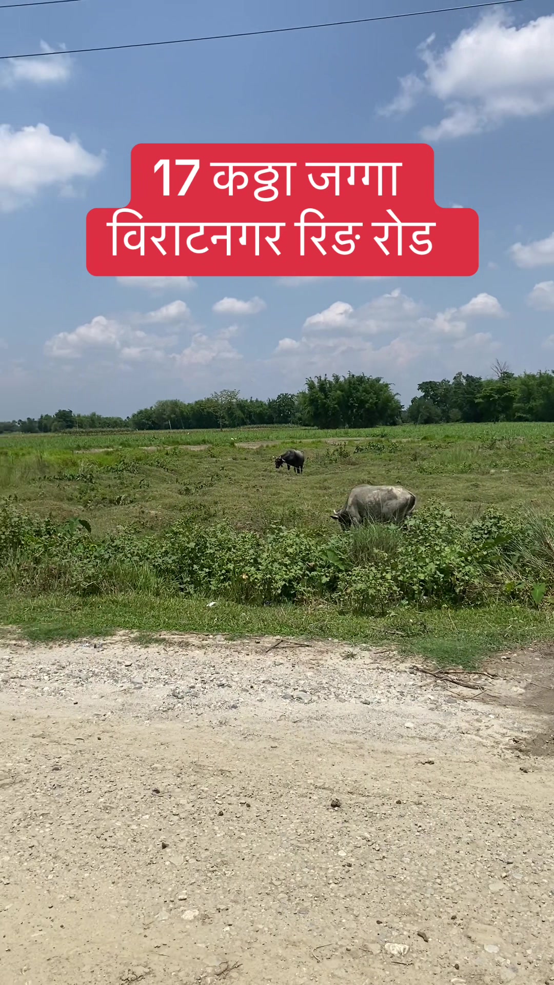 @Bhuban Thapa Real Estate