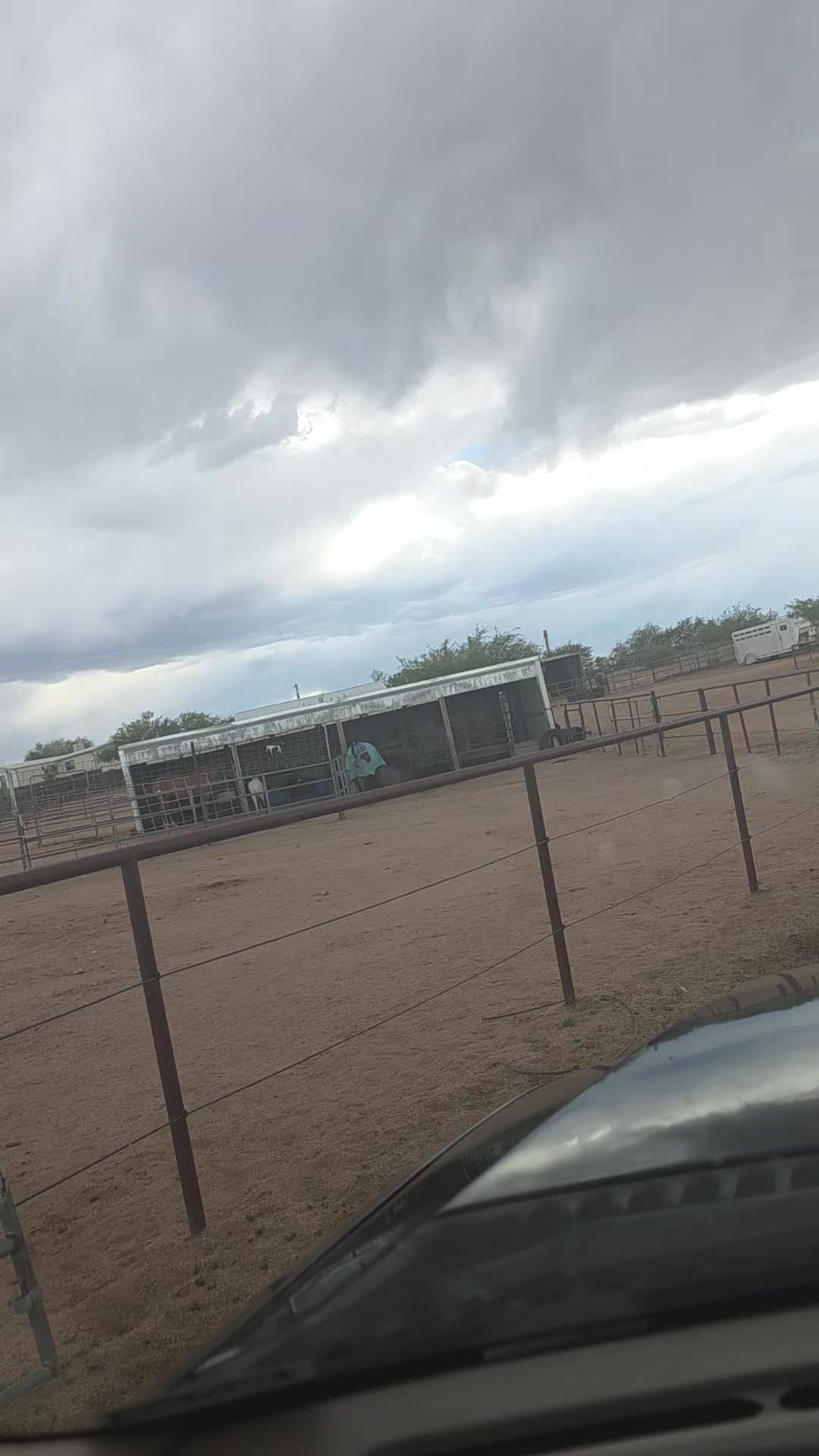 @Teresa Pierce