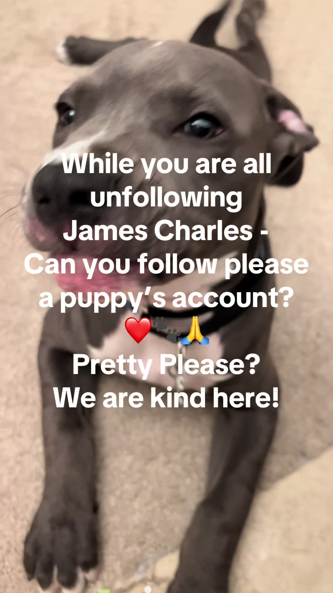 @Pibblingaround