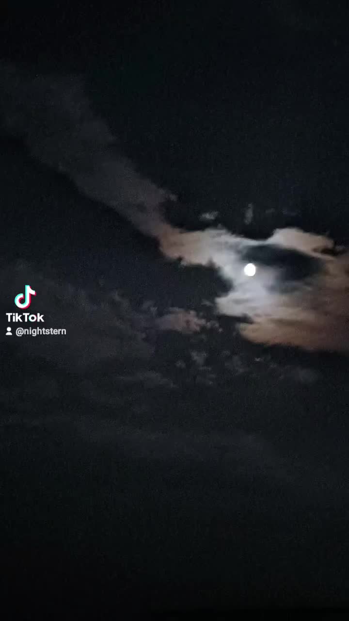 @✨️Nightstern✨️