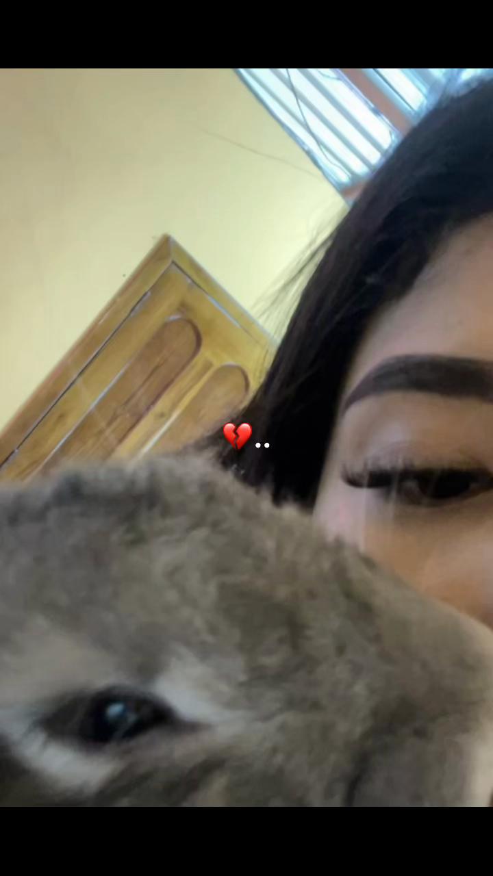 @🕷️💜[𝒞]𝒶𝓇ℴ𝓁𝒾𝓃𝒶 🚄👑☯️