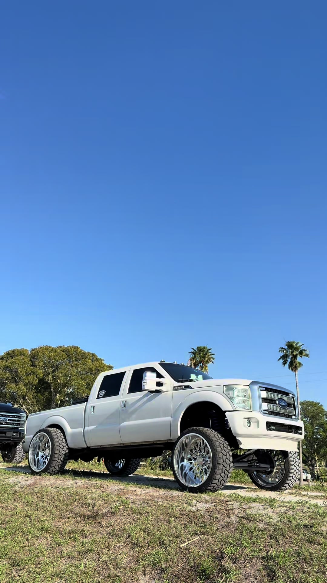 @6.7platipuss