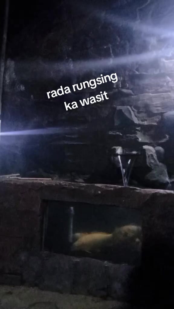 @aki somad