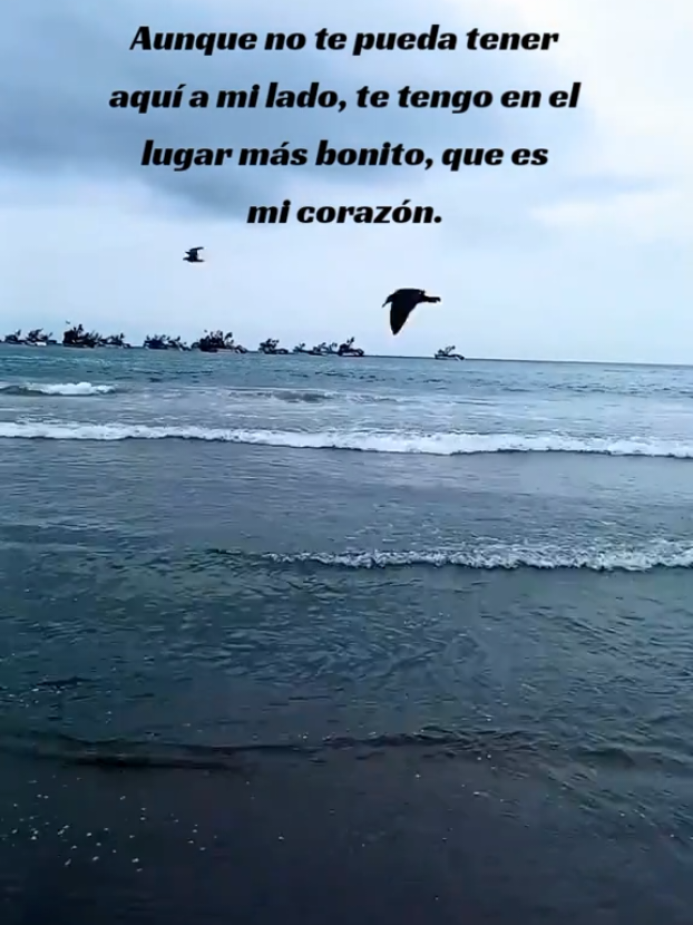@Nani Torres