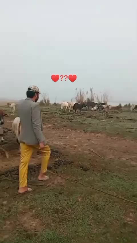 @Saqib Raza
