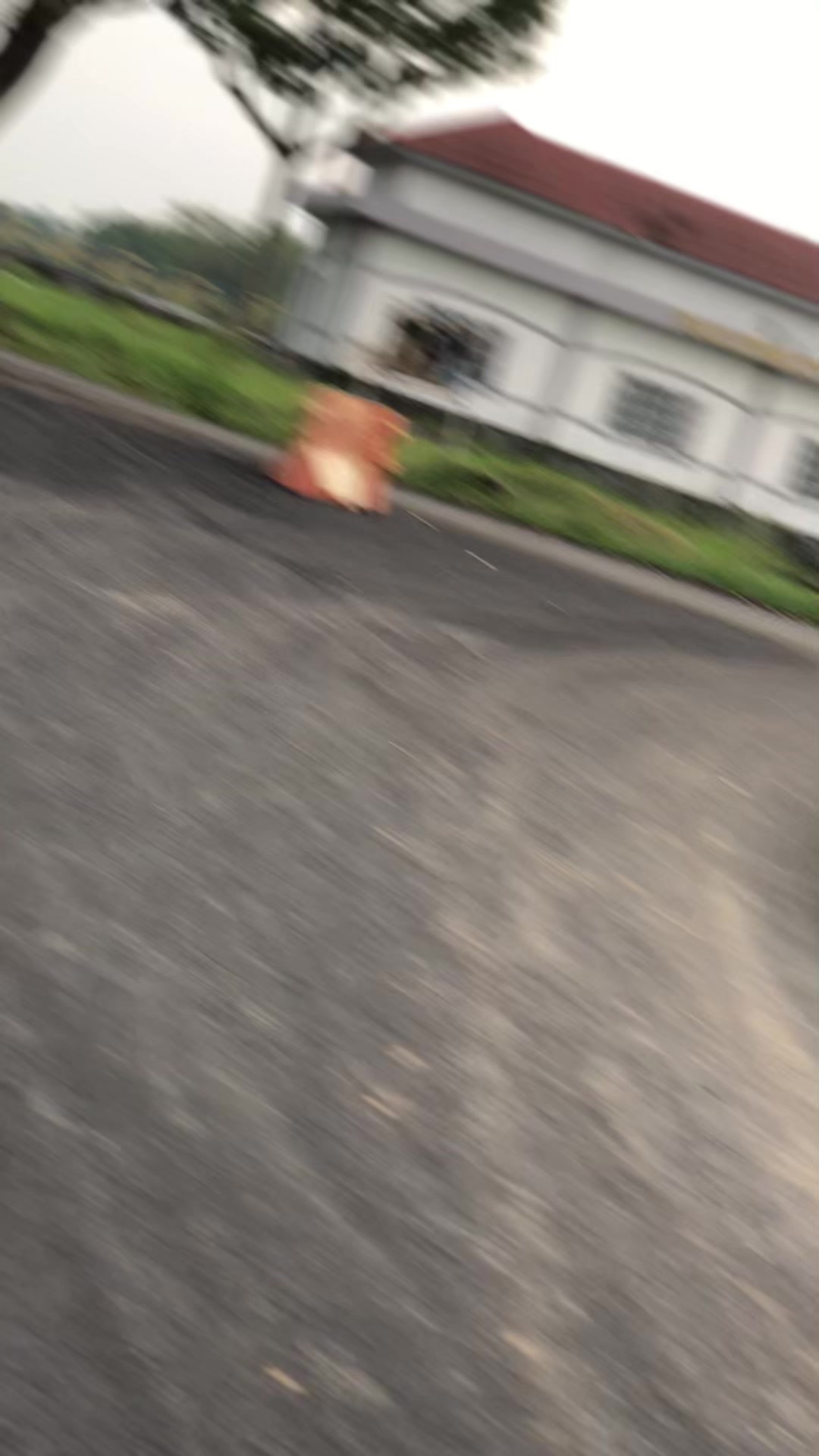 @𝙑𝙚𝙣𝙠𝙮𝙮