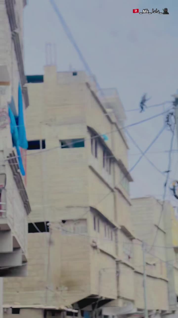 @🇹🇳_𝙈𝙠_(دادا)_🥷🏿