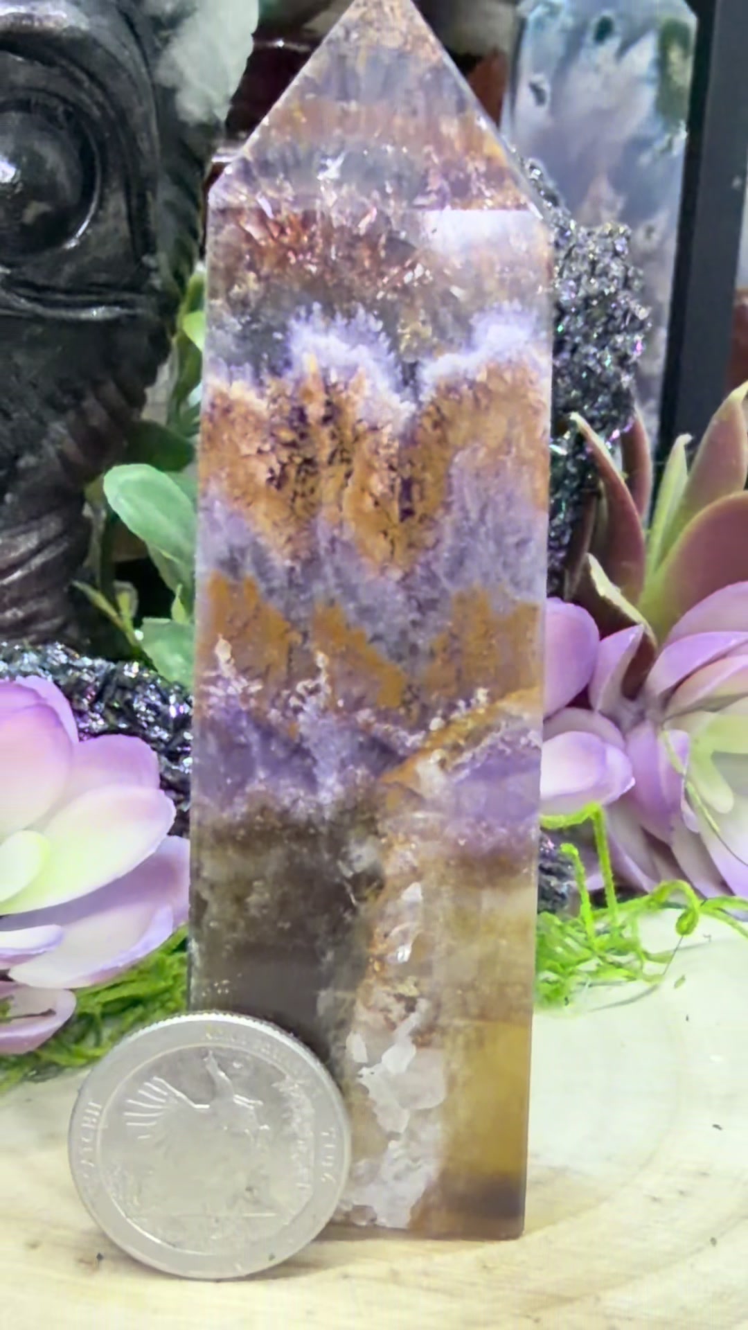@The Crystal Parrot Crystals