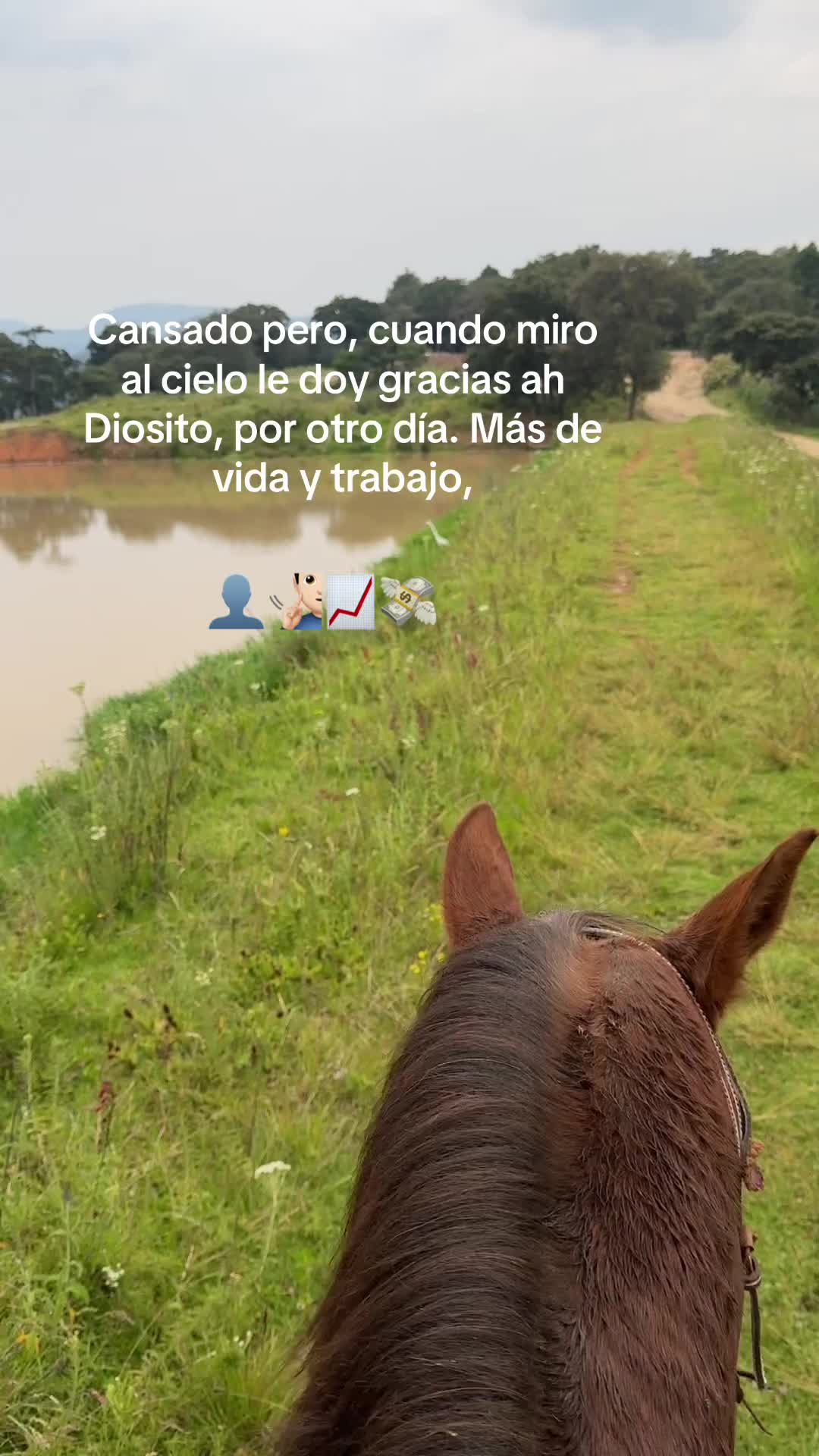 @willyjrbecerril