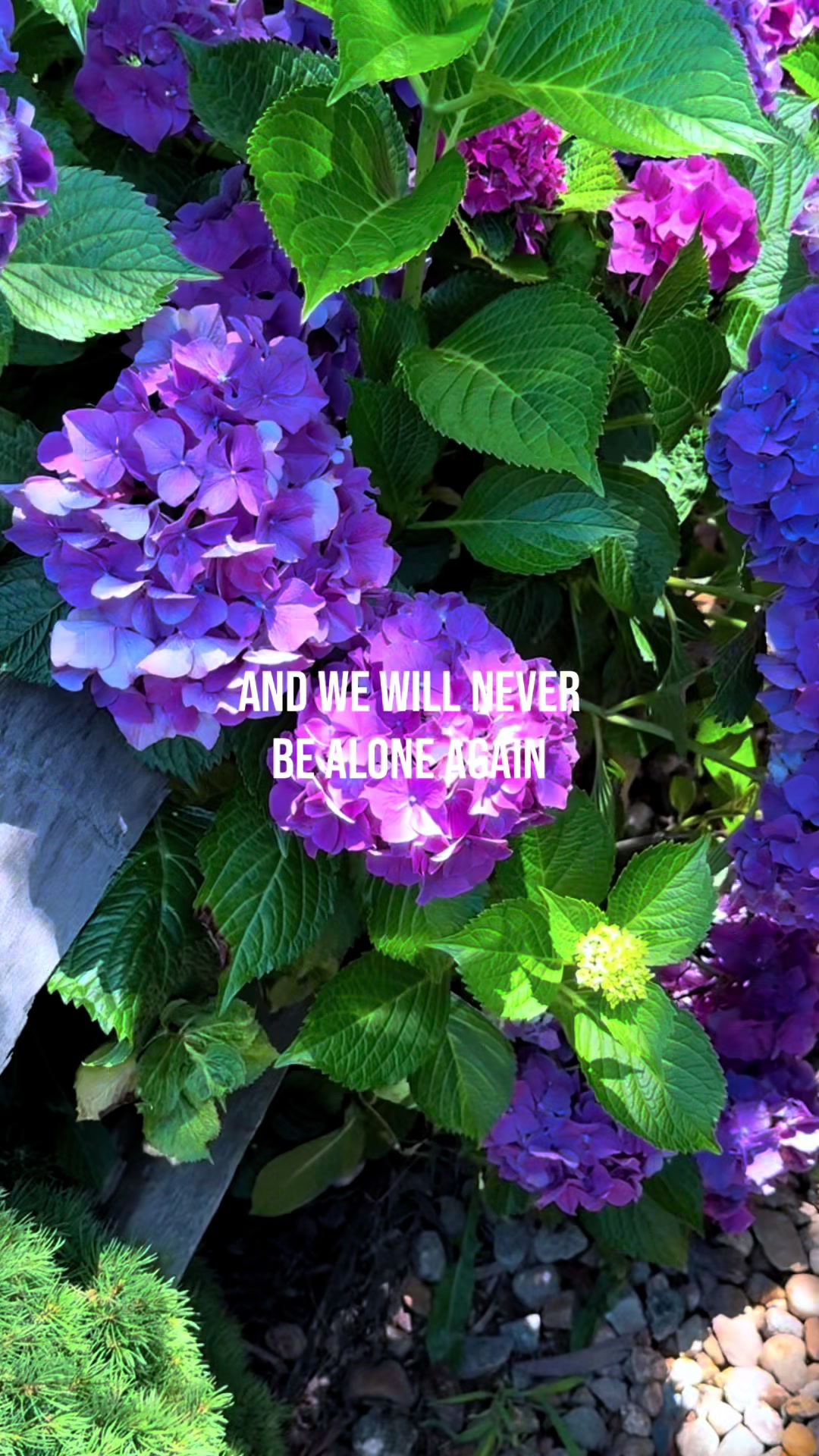 @justice 🌹