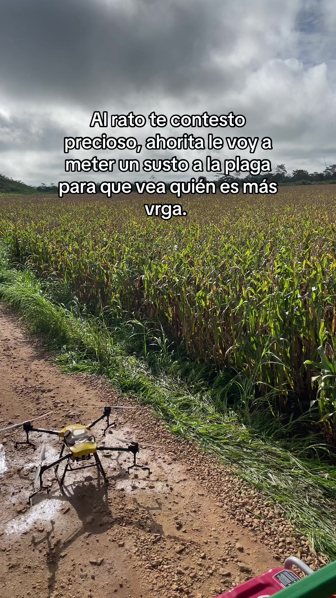 @La del Agro 👩🏻&zwj;🌾🌱
