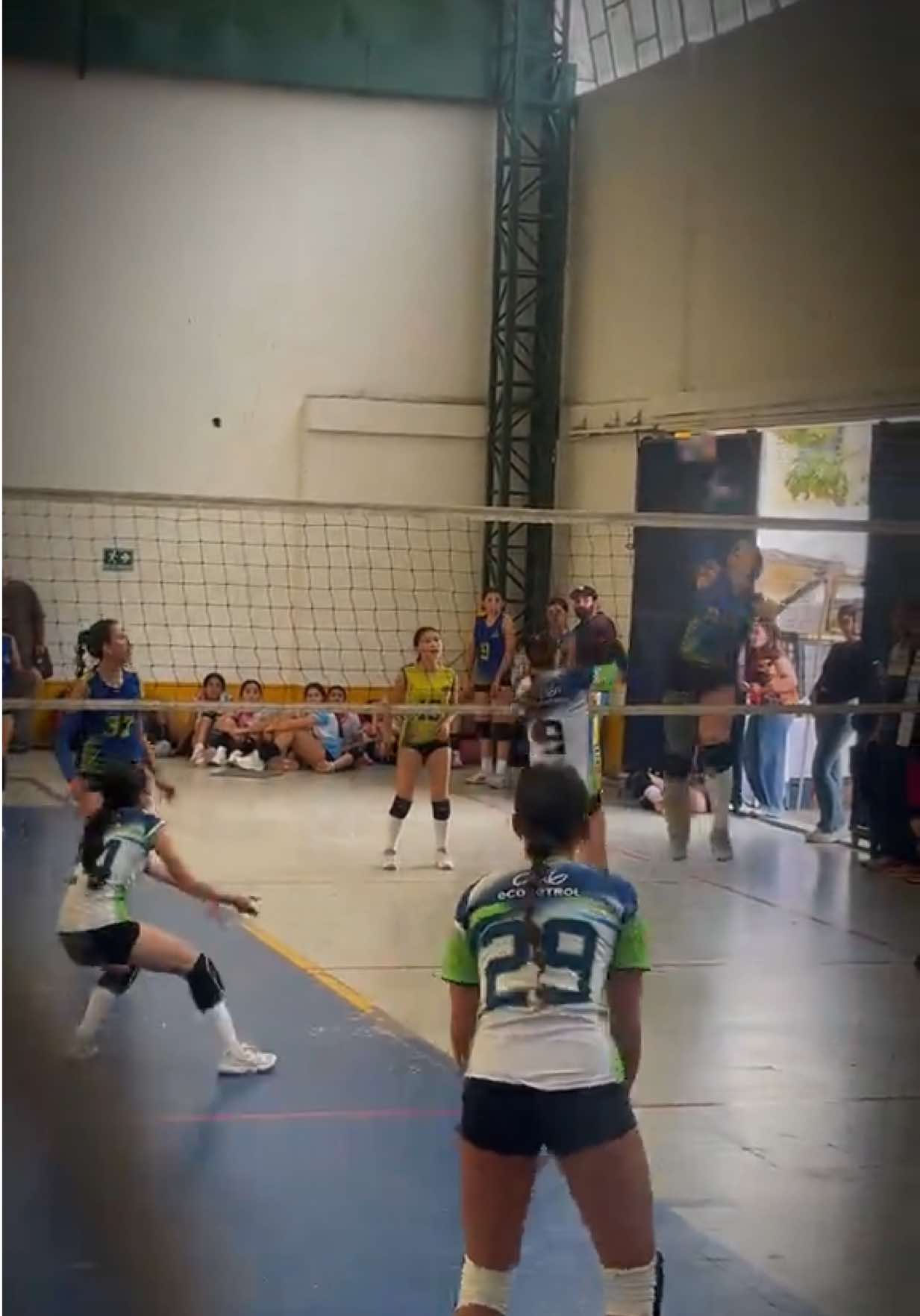 @Isabella Amaya Volley 23