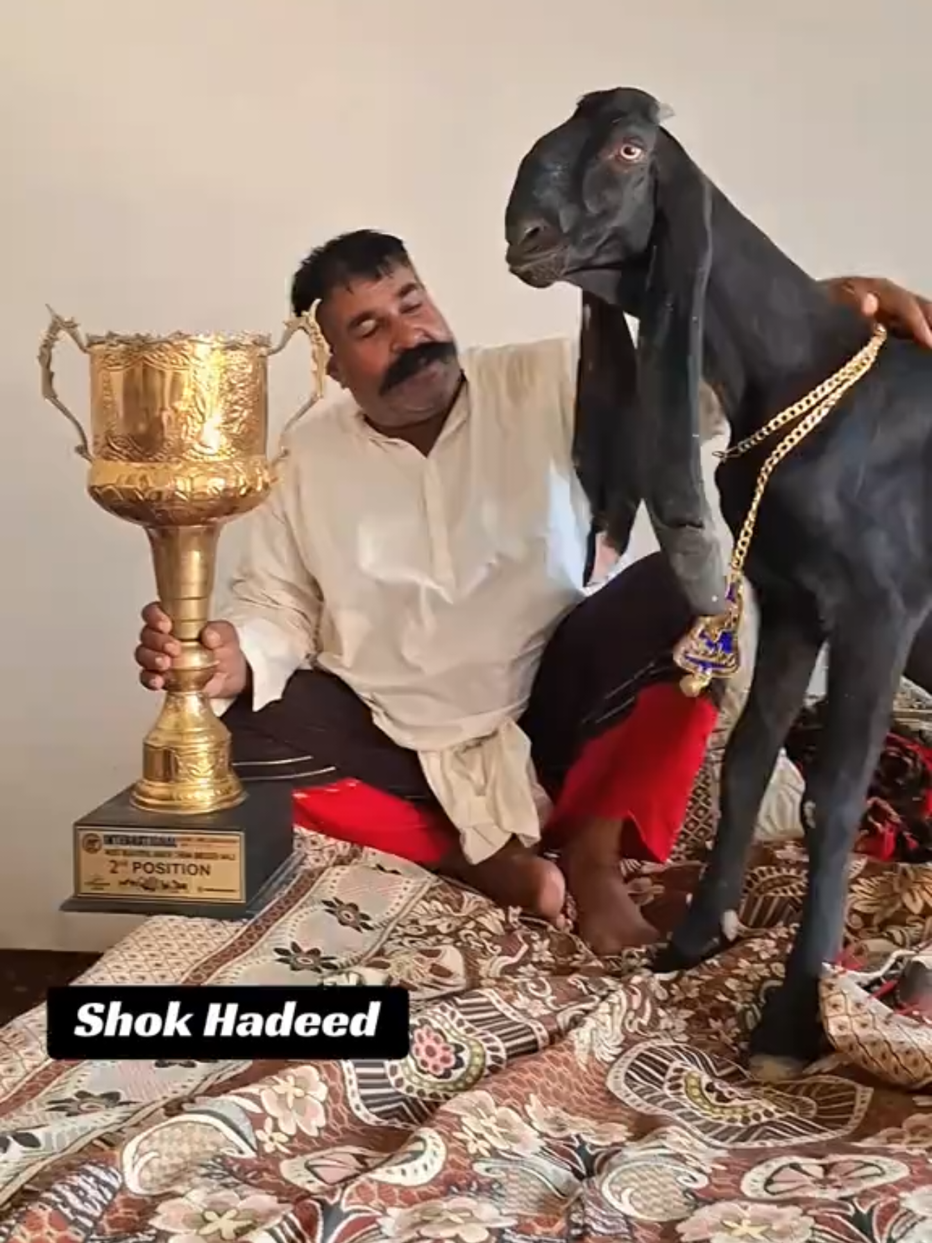 @𝕄.𝔾.𝔽