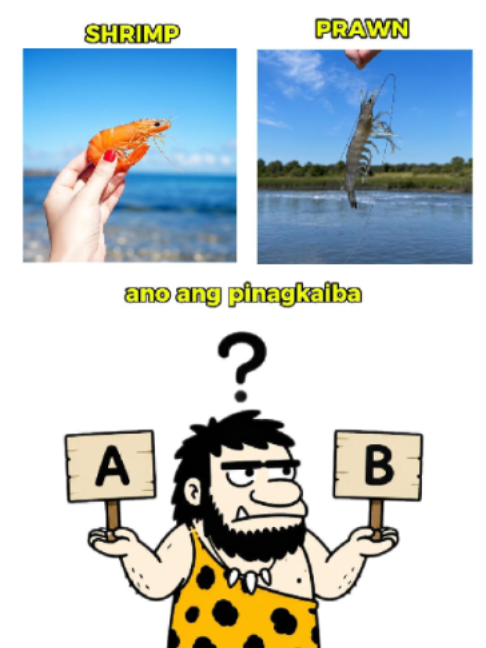 @Tagalog Caveman
