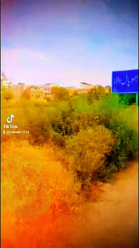 @sabeeh