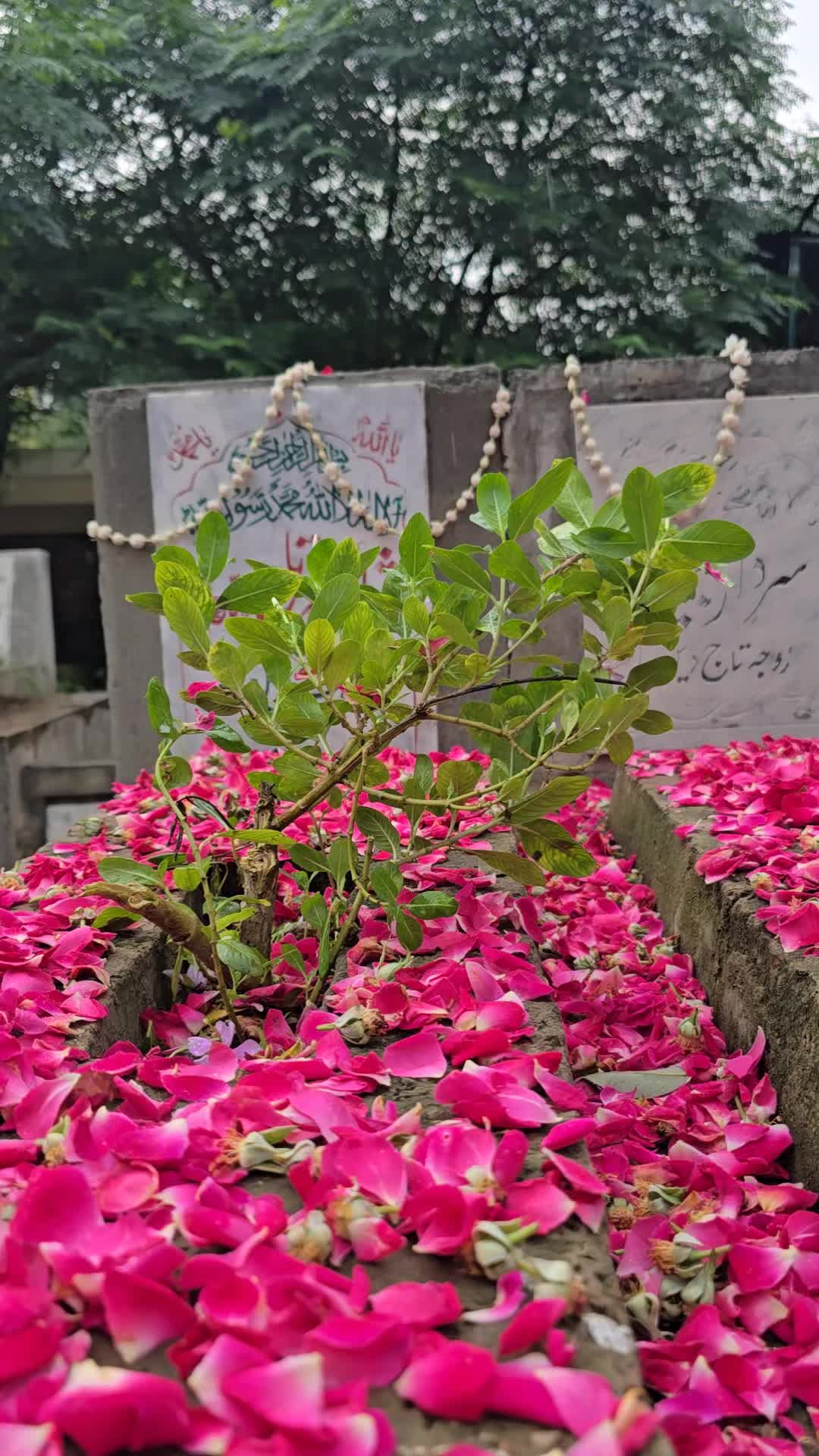 @Syed Bilal Javaid