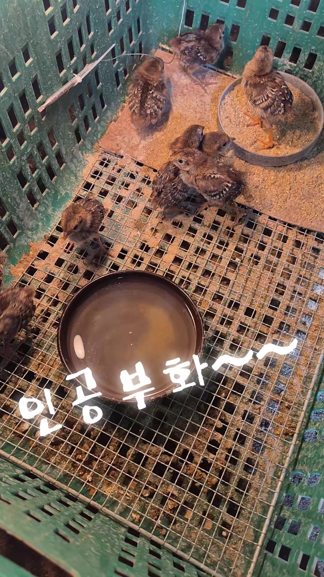 @드기아재