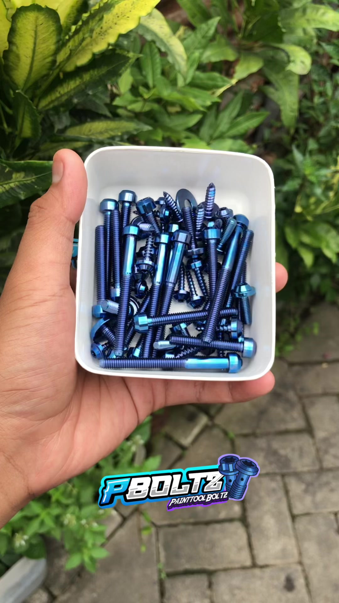 @painttol