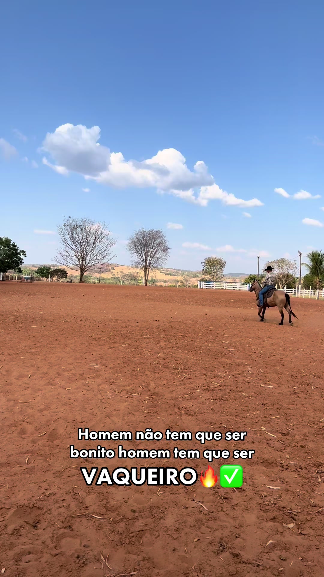 @mateusandrade9837