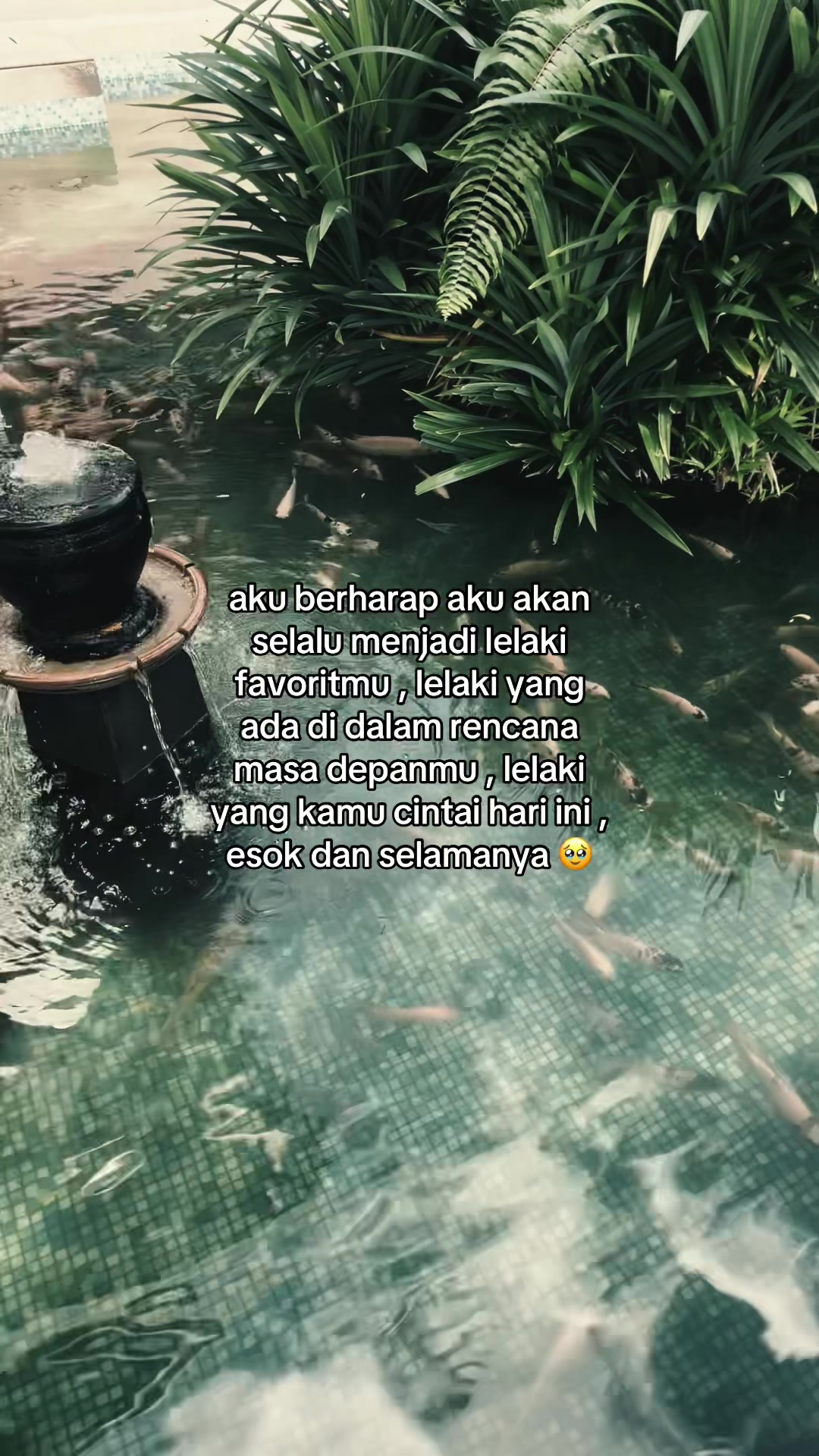 @𝓌𝒶𝓅𝒾𝒆𝓎𝓎