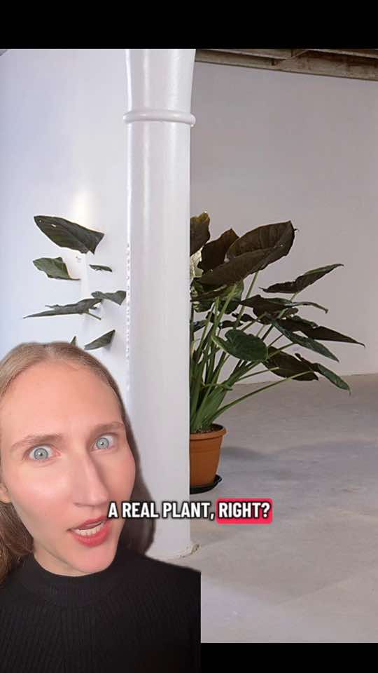 @The Art Revival