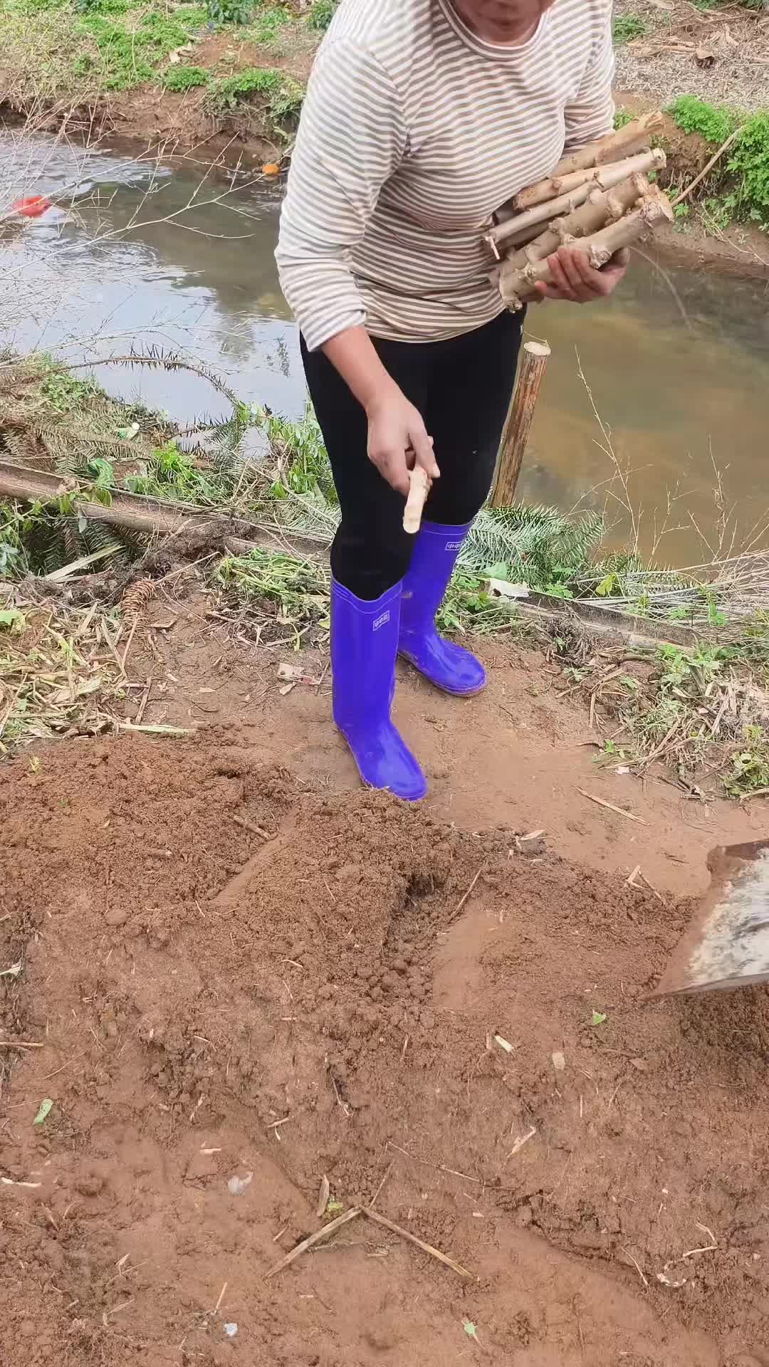 @fdszdwt
