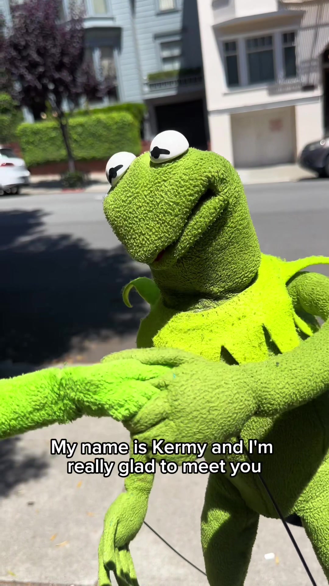 @🐸 Crashout Kermy 🐸