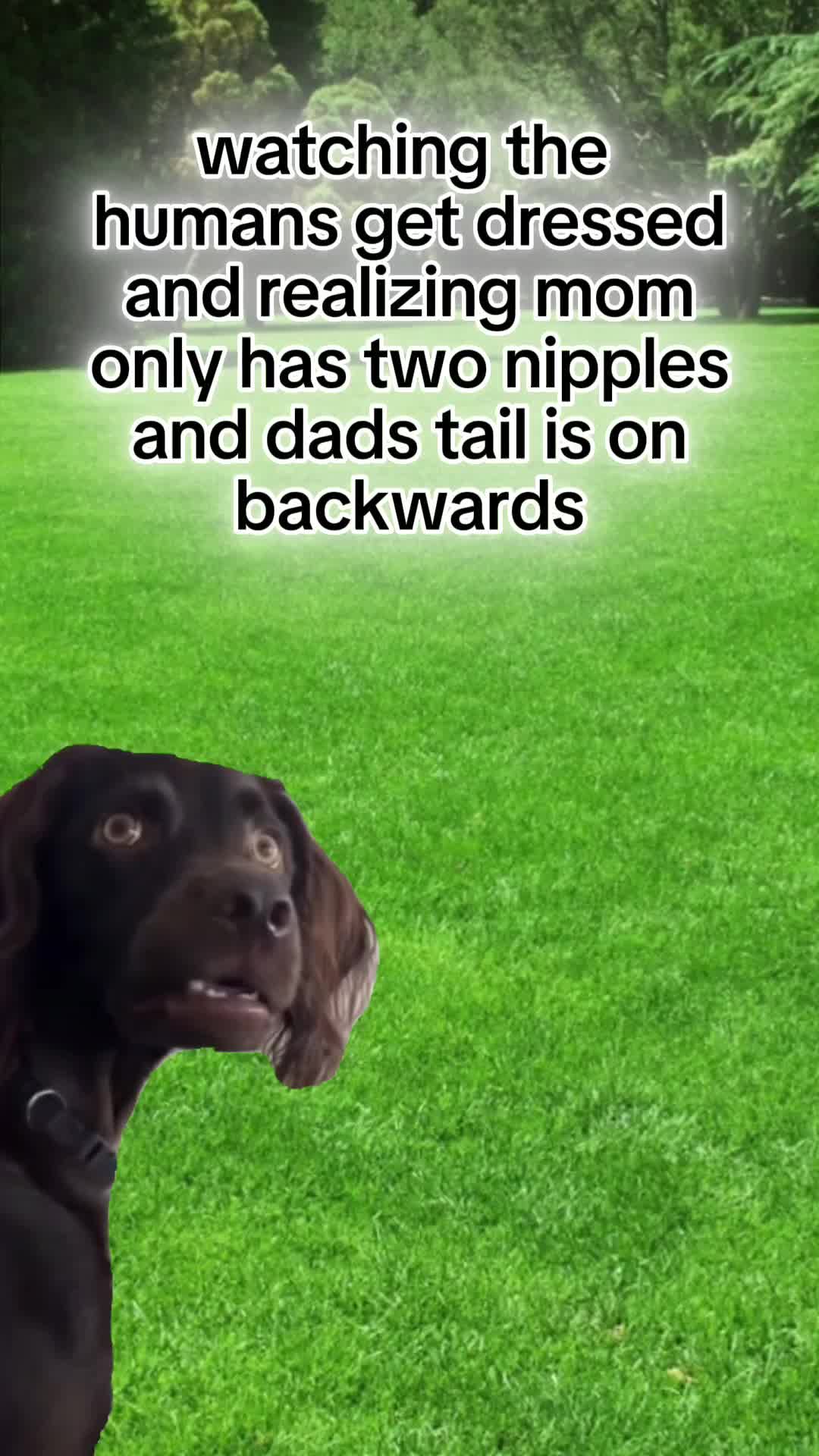 @Julie