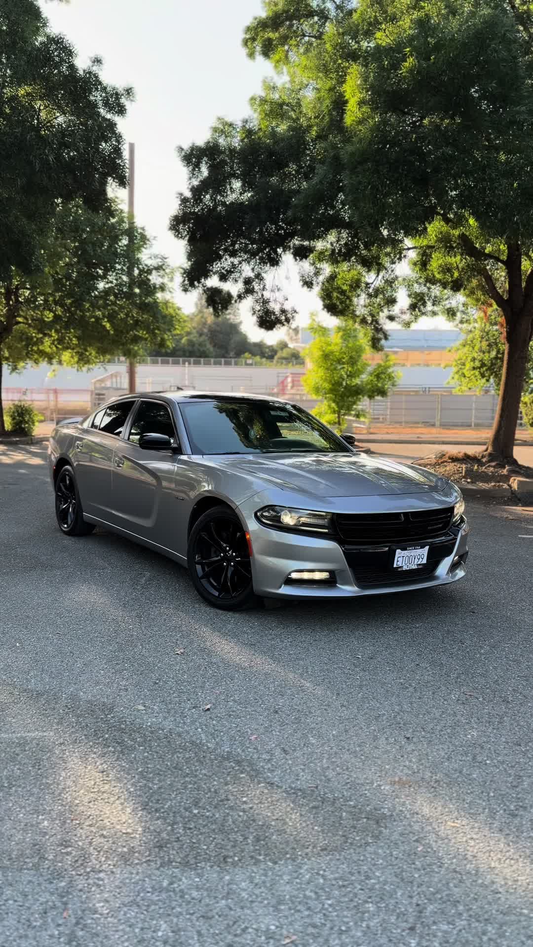 @HailsRt 🩶