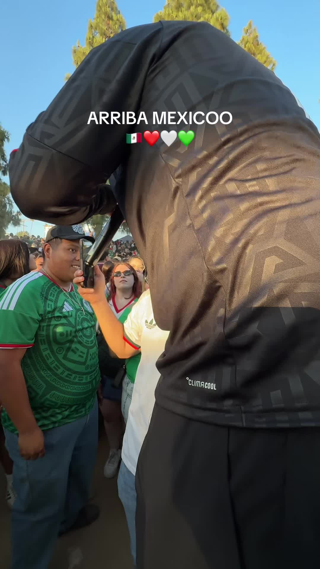 @TAVOOOLP