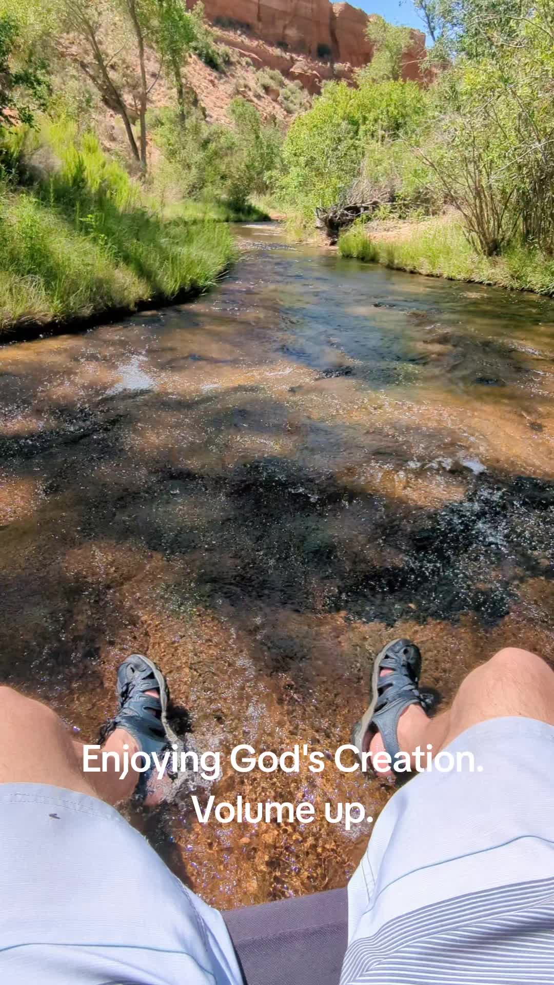 @✝️Todd✝️