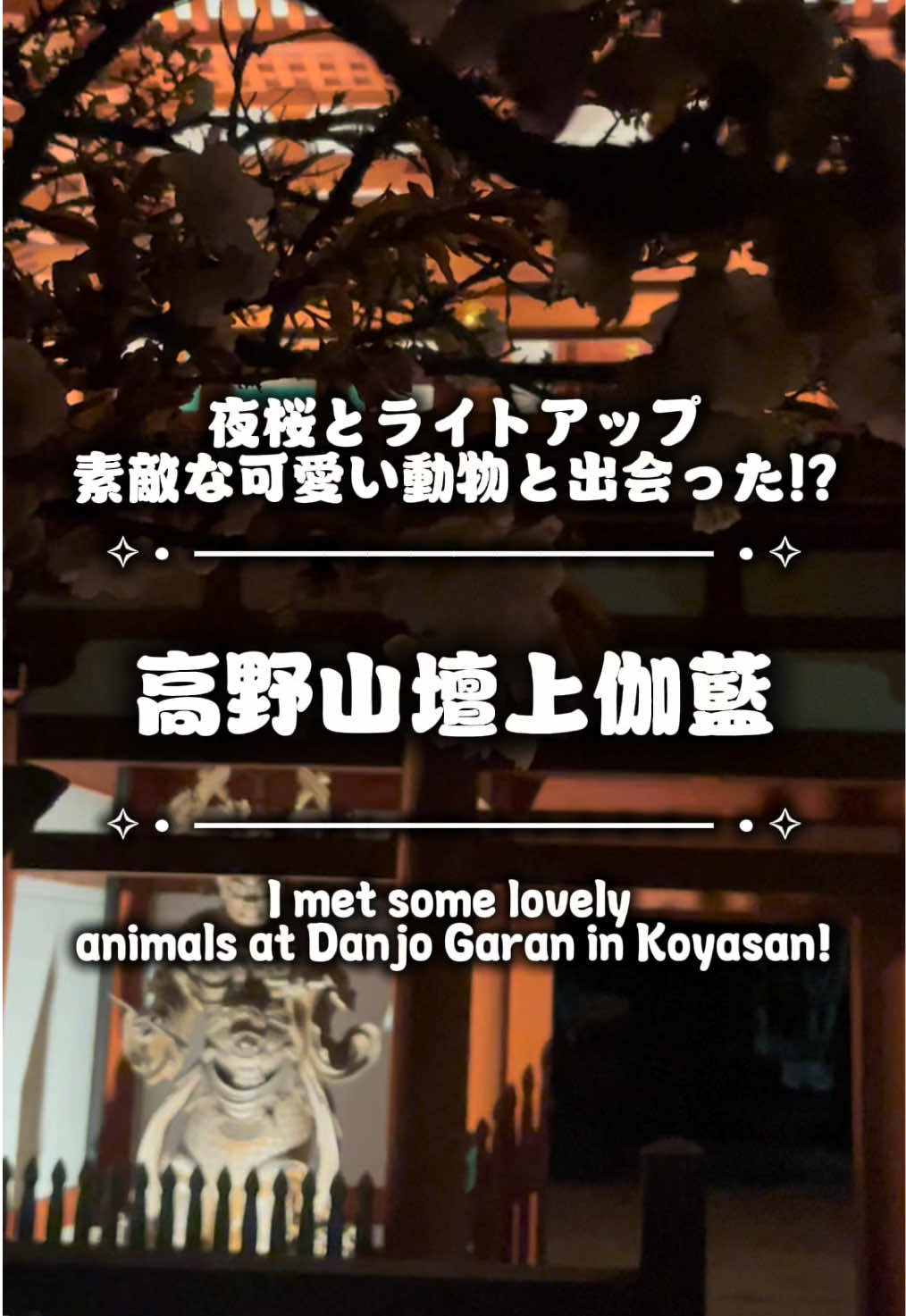 @Kōyaの秀ジィ🦊🐾