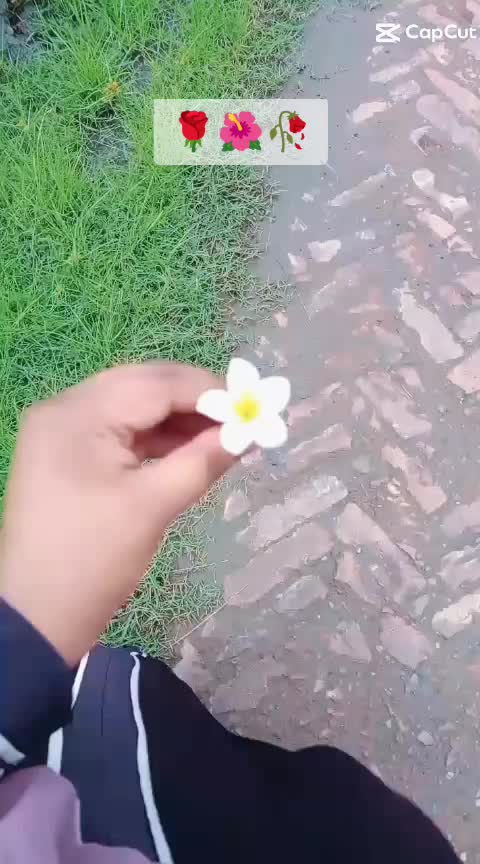 @ꫝ 𐙚˚♡&mdash;͞ʟɪᴢᥙ֟፝ᴜᴜ &iexcl;!🖤🕊️