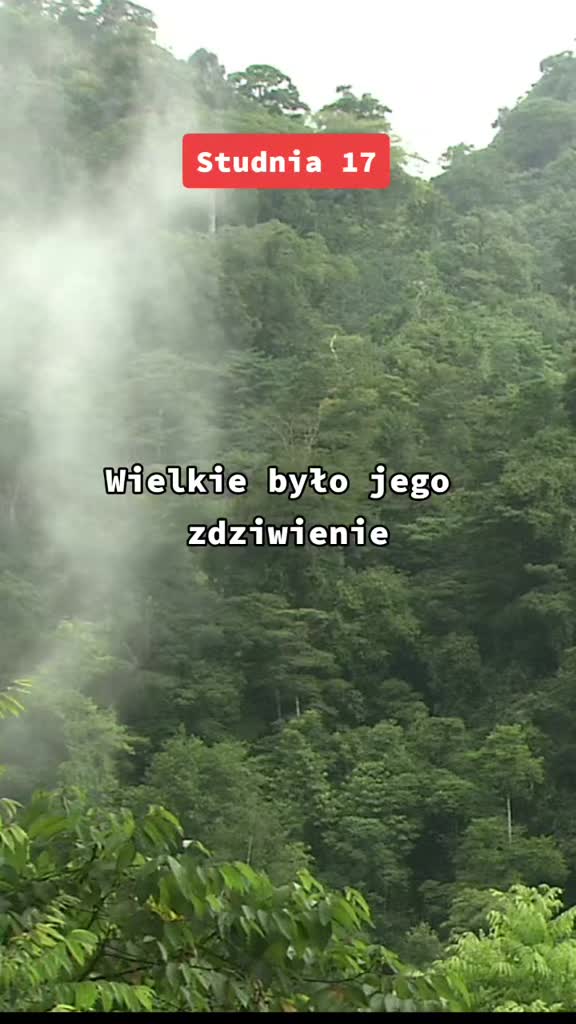 @Poezja Polska