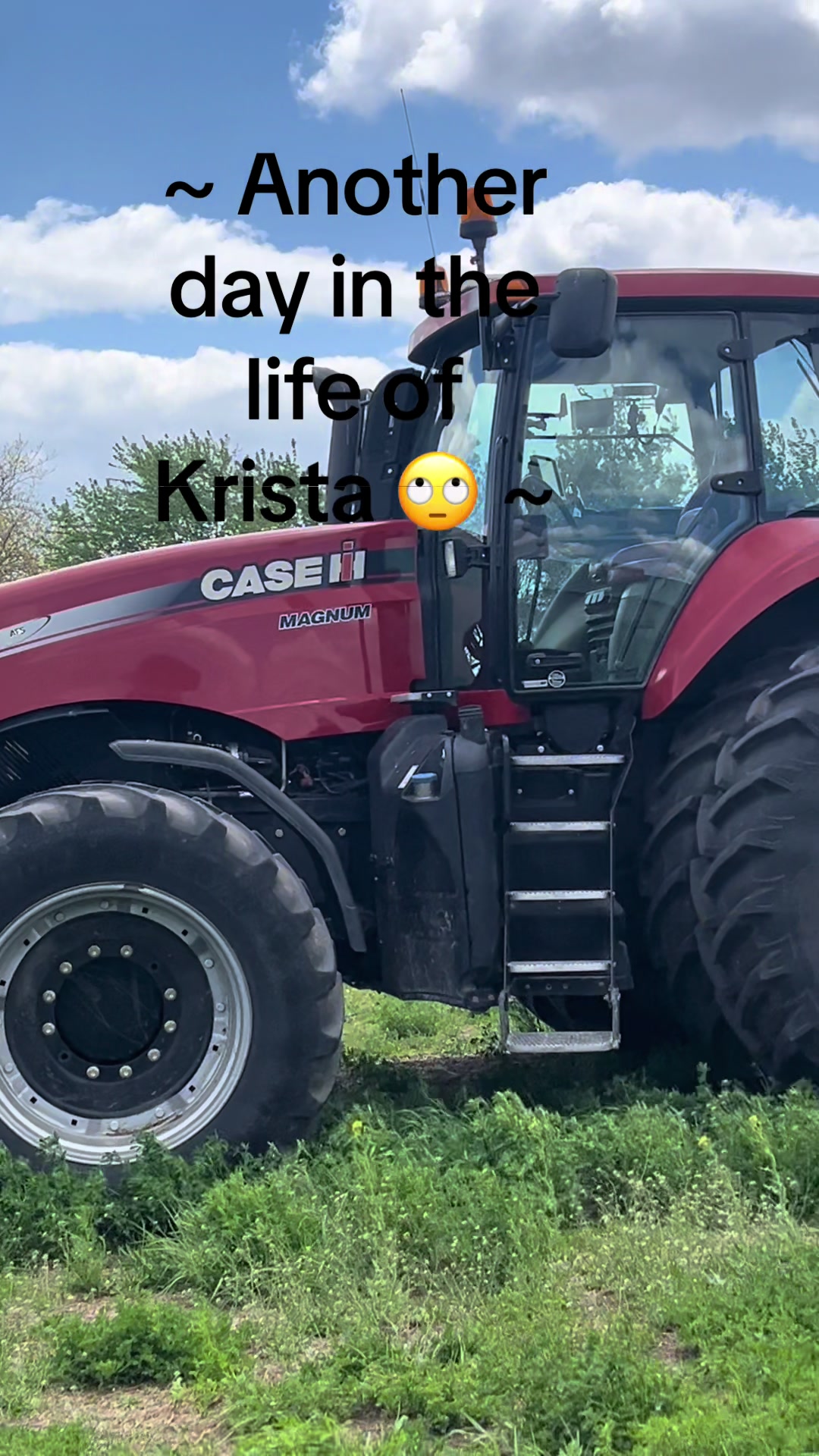 @Krista Molloy