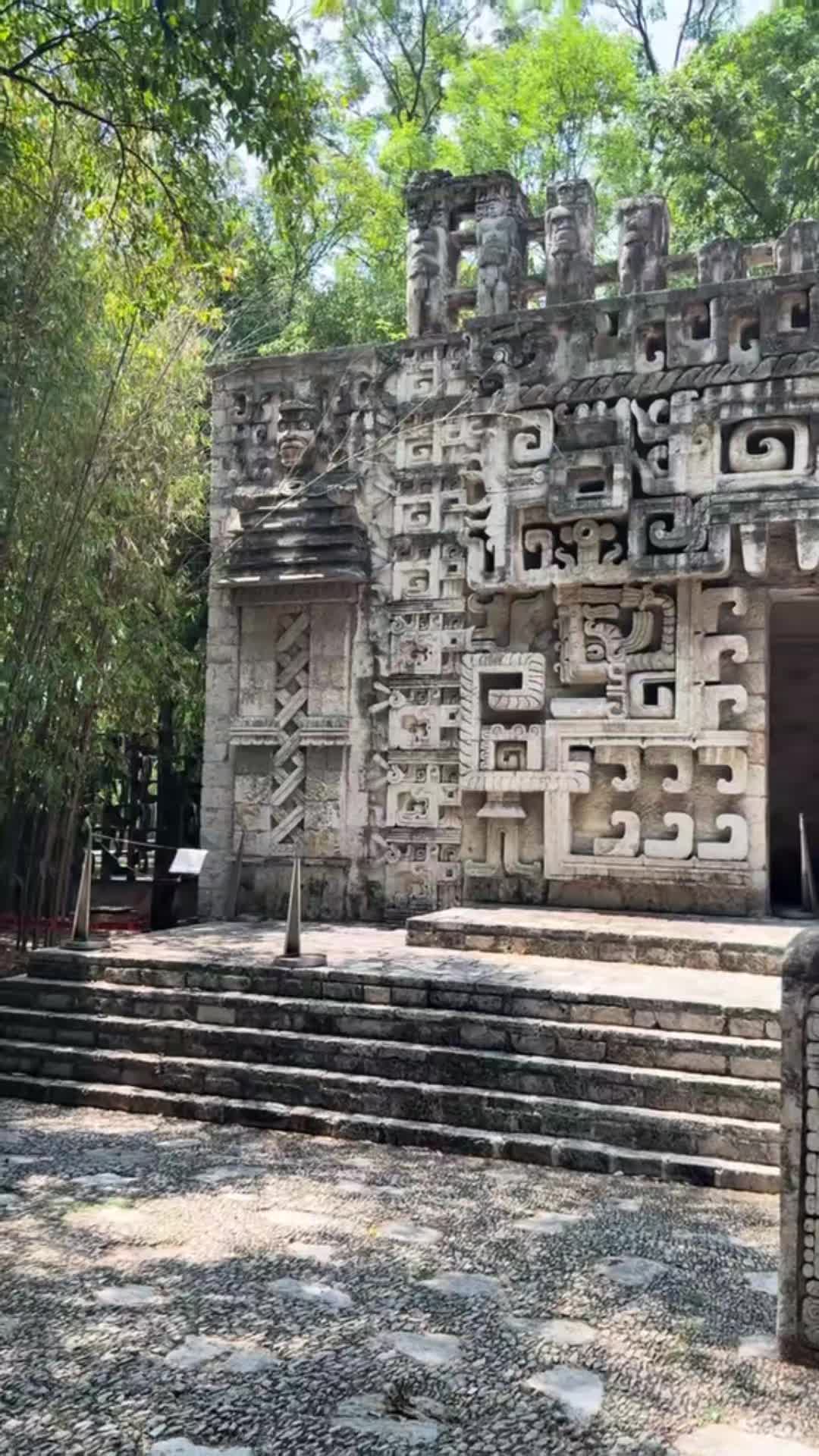 @min22✨️