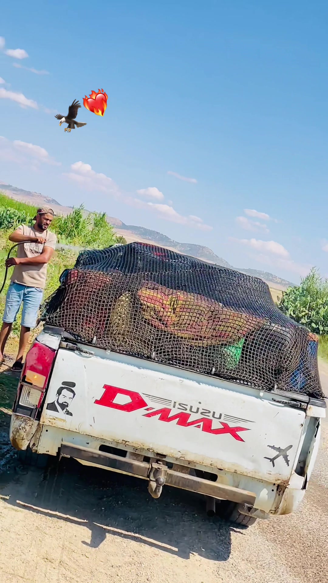 @Msw_Lba9
