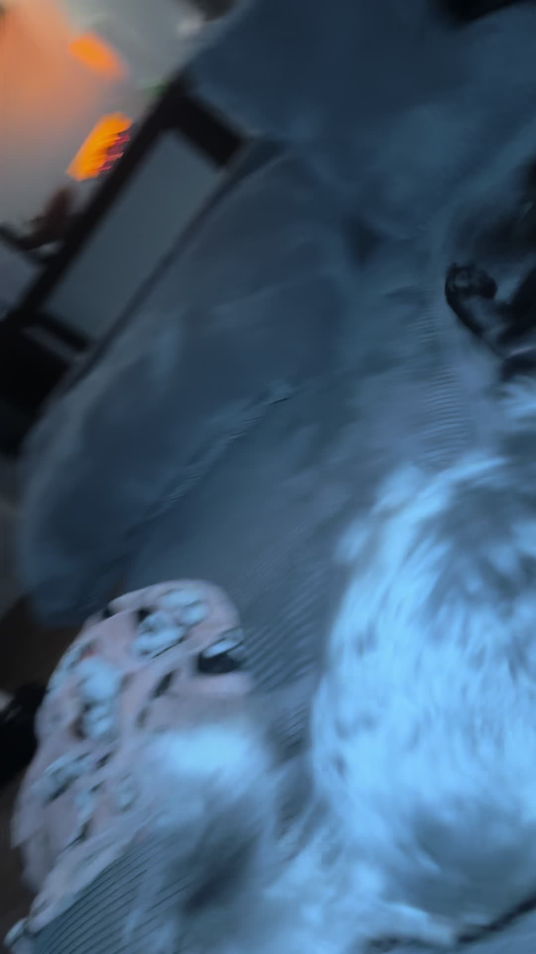 @Hershey The Pug