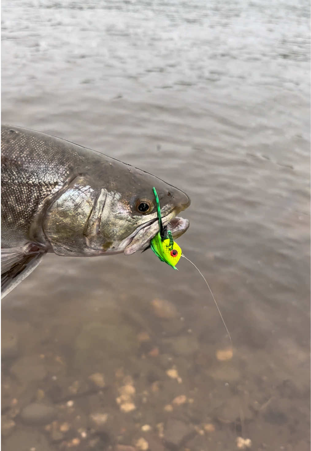 @lucky.hat.fly.fishing