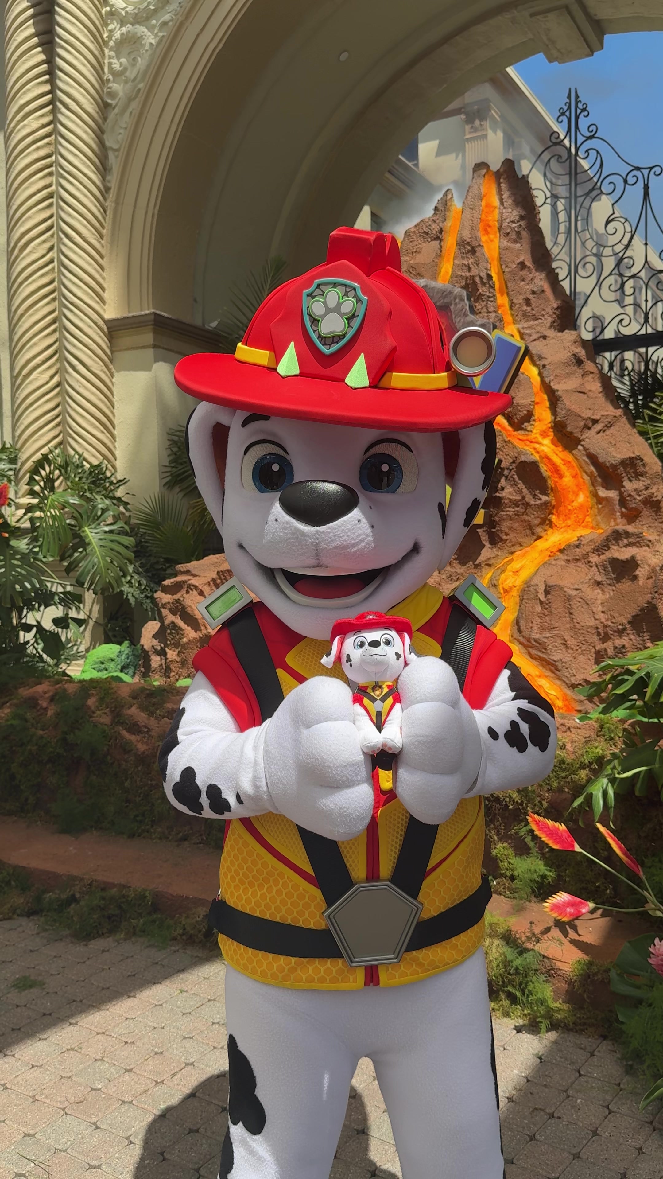 @pawpatrol