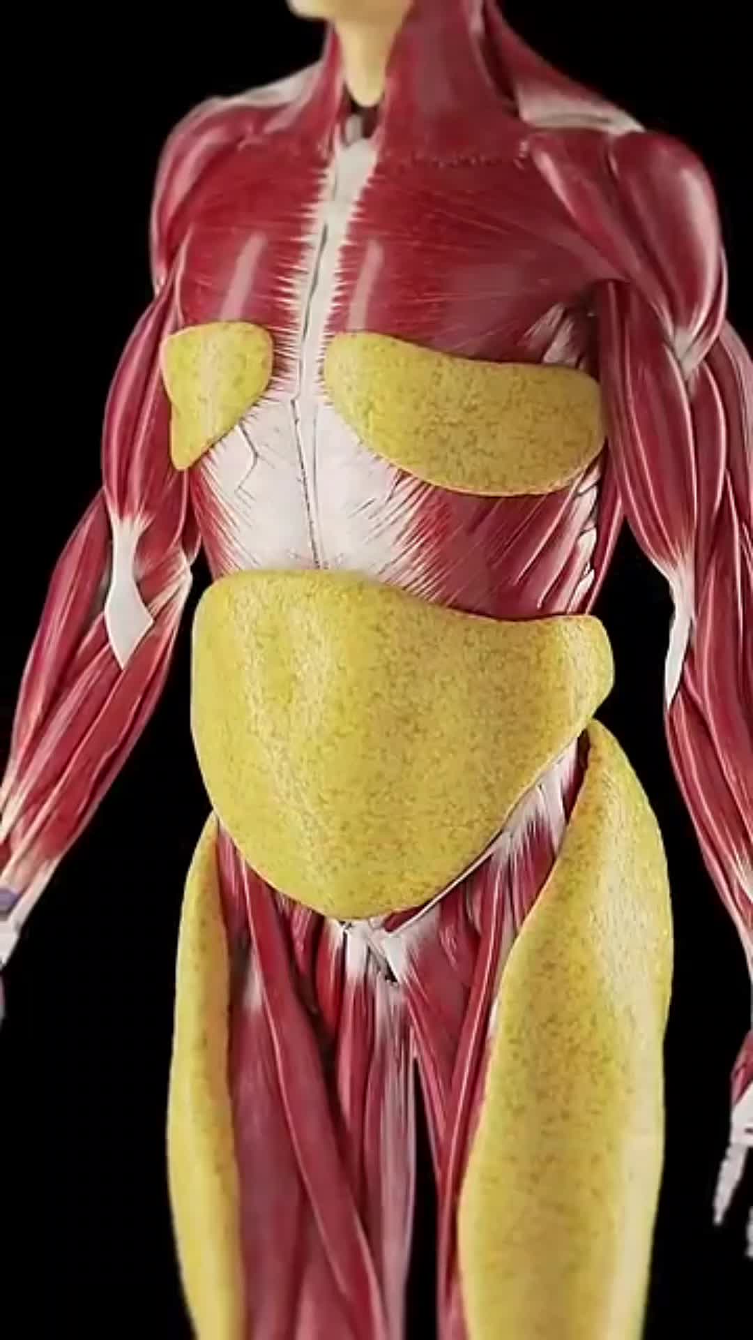 @Fernando Vieira
