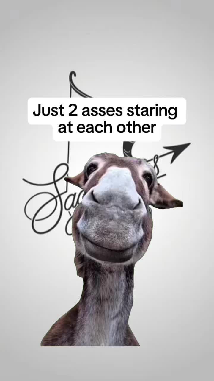 @Sagittarius