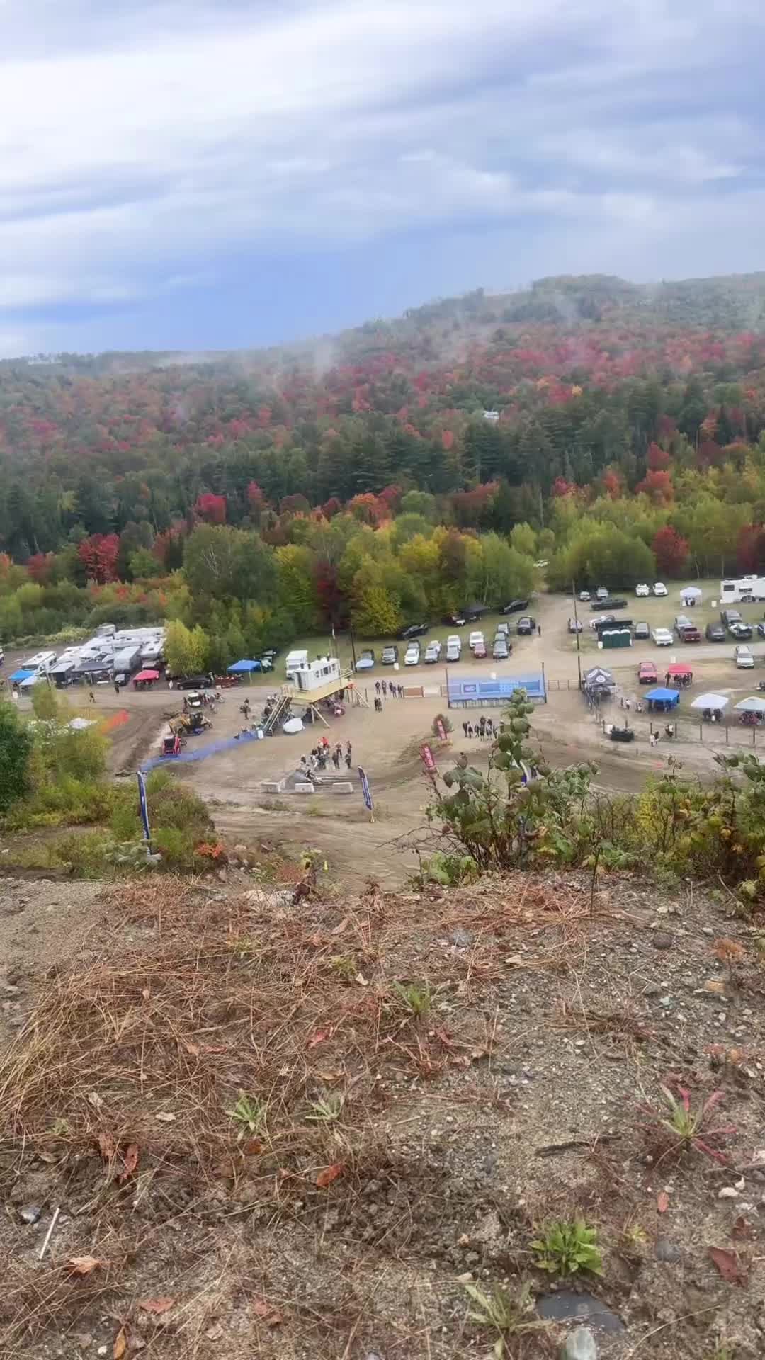 @Arcticcatmatt