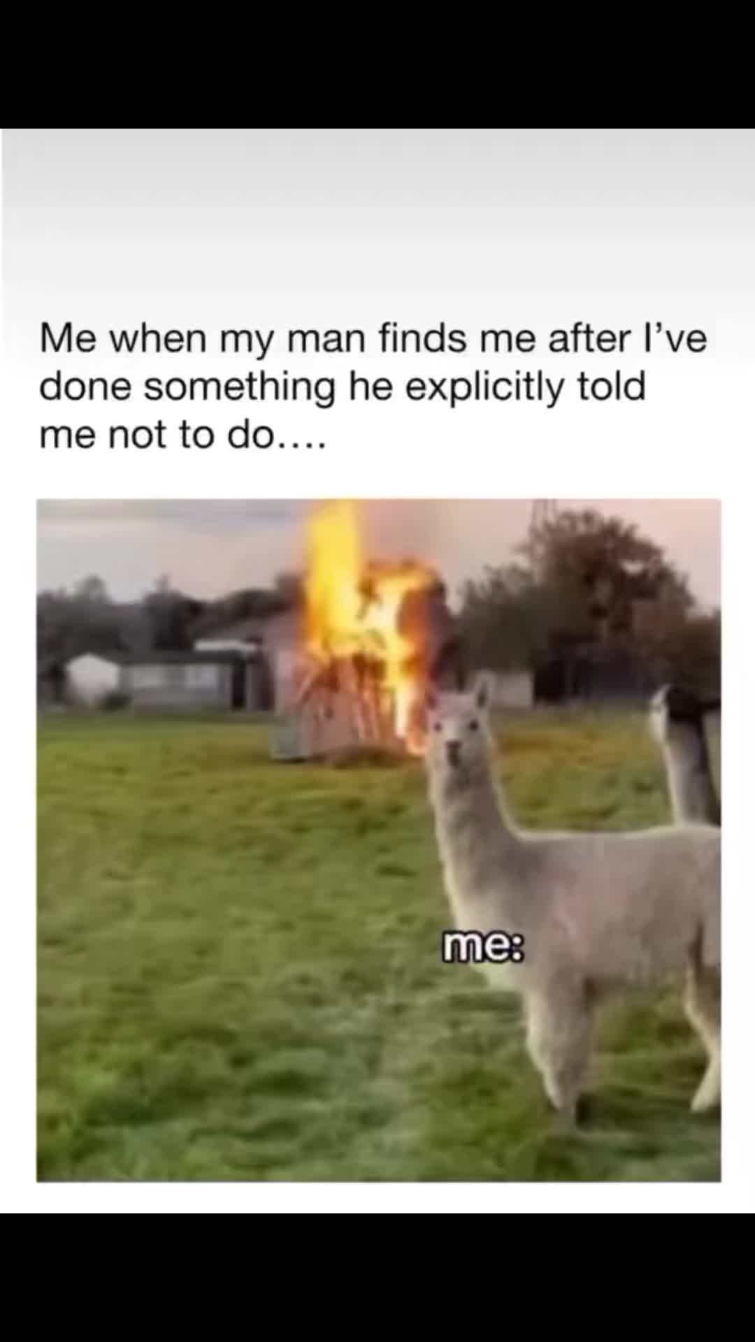 @Daddy Glutard